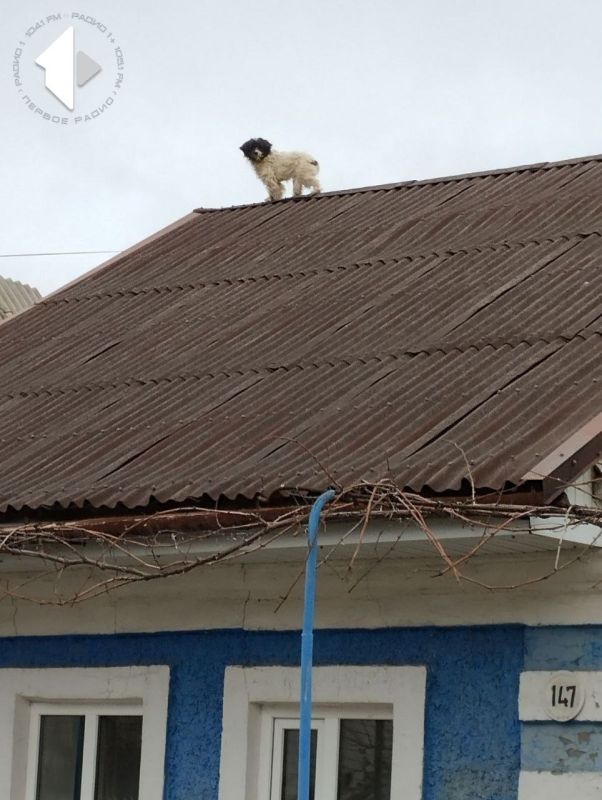 ������ ����������, ������ ���� � ����������