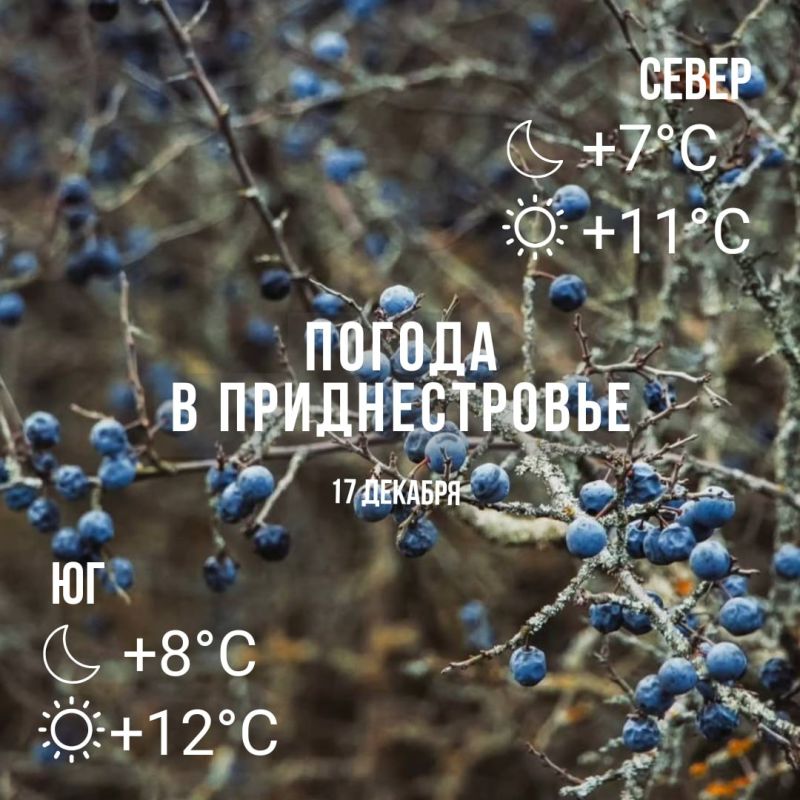 ���� � �� +12��. ����� ������� �����. ���� ��� �������. ������� �����