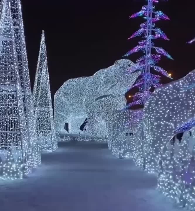 � ������ ���������� ������ ����������� ��������� �������