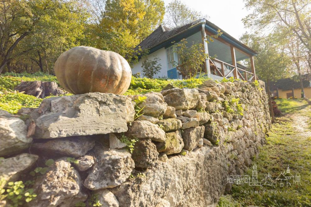 ��������� ���������� �������� ������� ������ ��������� ������� � 2024 ����