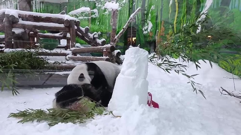 ����� ������ �� ����������� �������� ����������� �� ����������