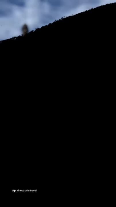 � ������� �Enjoy!� ������������ Transavia ����� ������ � �������������