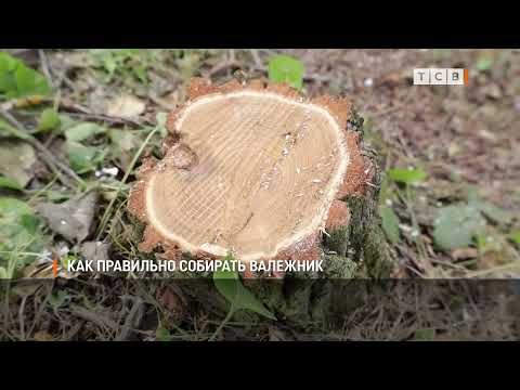 ��� ������� �������� �������� � ���� �� ������ ���������� ����, ������� ��������� ����� ��������� �������������� ��������