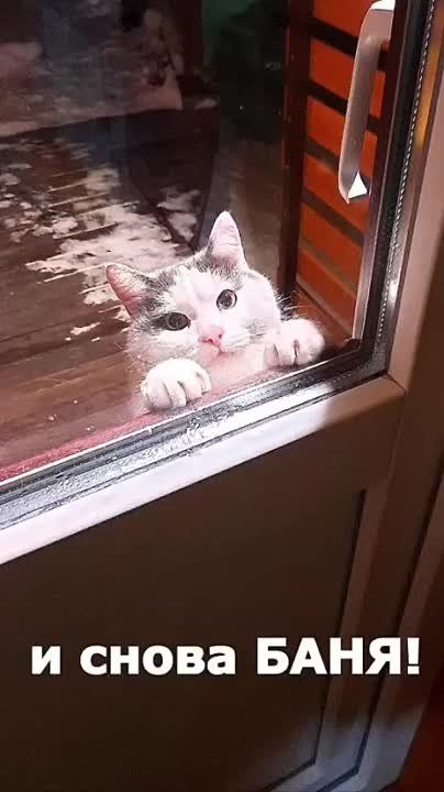 � ��� ���� ��������: ������ ����� ��� �� ����� � ����