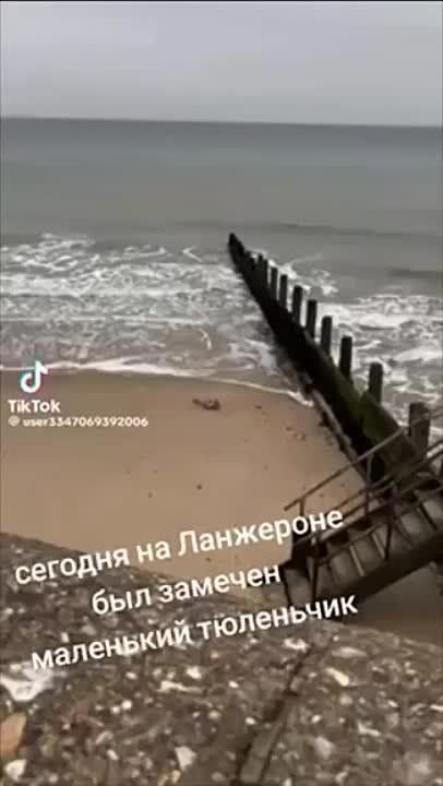 � ������ �� ���� �������� �������� ������