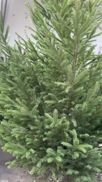 �� ������� ����� � �������� ������� ������ � �����