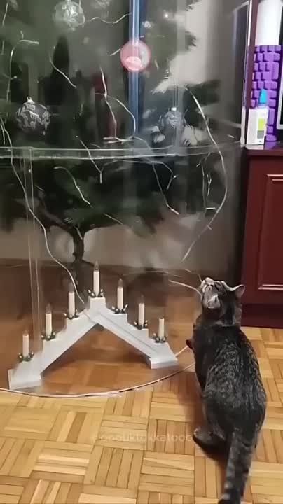 � ����� ����� ������� ��� ����, ��� �������� ���� �� ��������