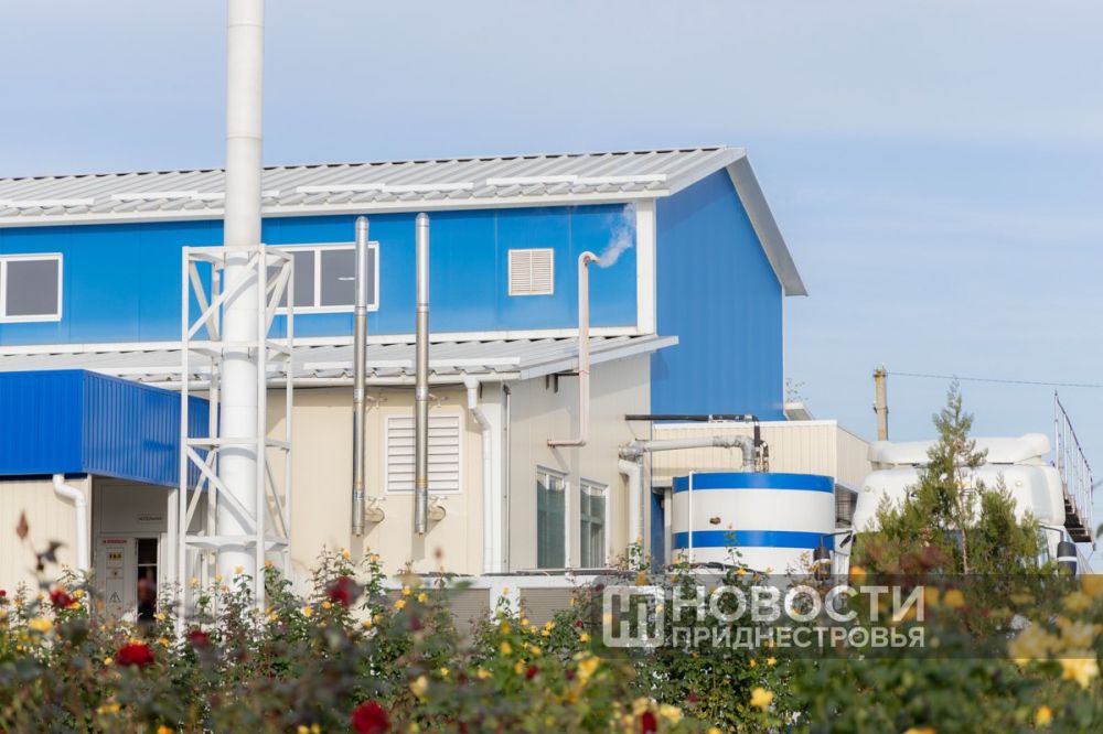 � ������ ����������� �������� ���� ���������� ����-�������� �������� �������� ��������� ��������