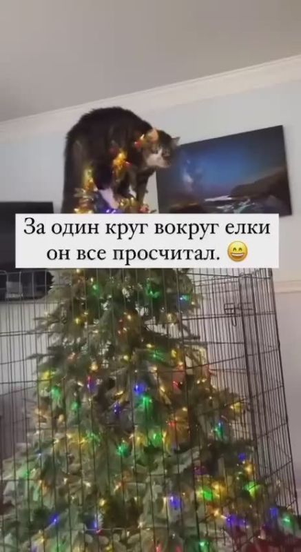 ���� ������������� ������ � ����, �� �� �� ����������, ��������������� �������� � ������ ����� �������