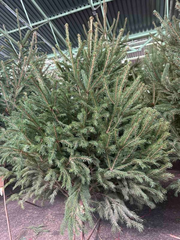 �������� ����� ������� ����� ���� �� ������ ����� �� ������� ������ �� ������ ����