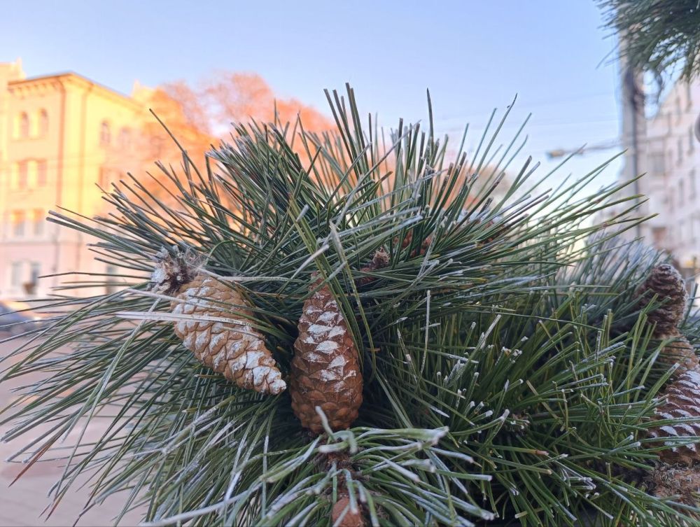 ����������� ���������� ��������� ������������ ������