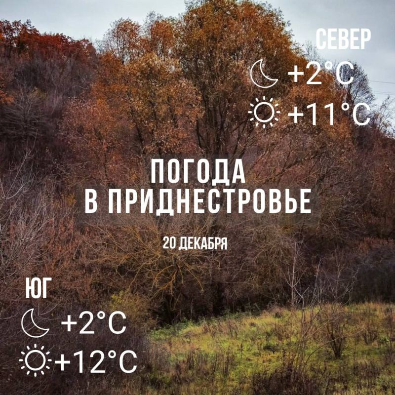 ���� � �� +12��. ��� �������