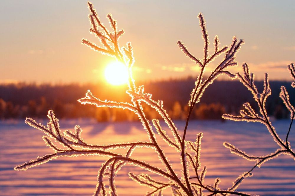 ������� ���� ������� �������������