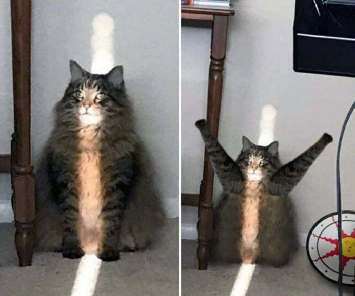 ������� ����� �������� ���� � ����