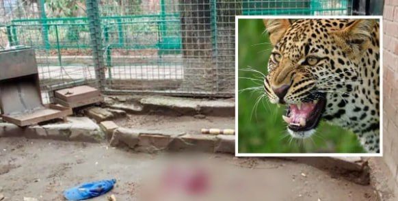 ������� ����� �� ��������� �������� � ������, ����� ��� ������ � �������