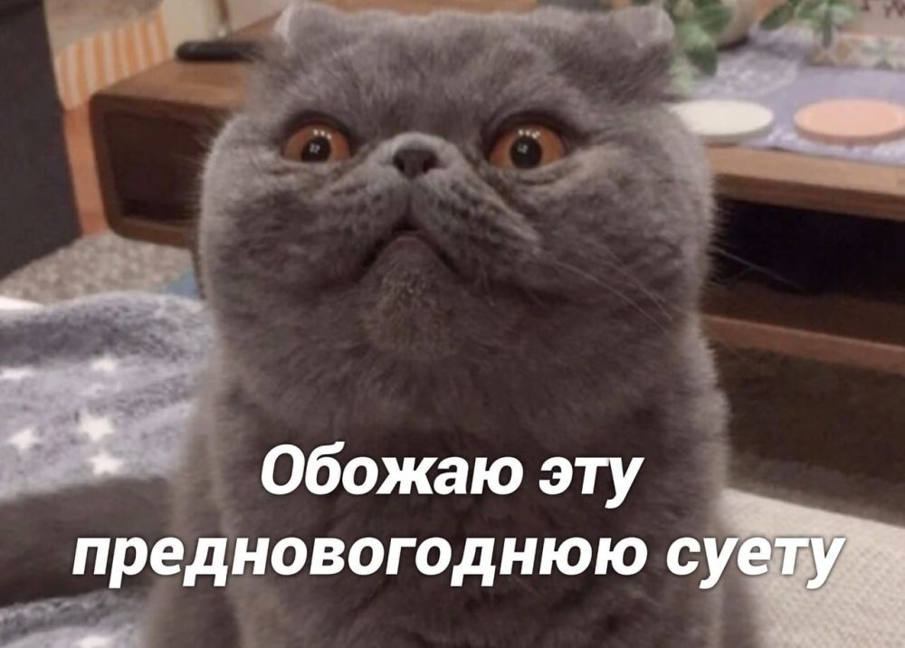 � ������������� �������� ������������ ������� ������