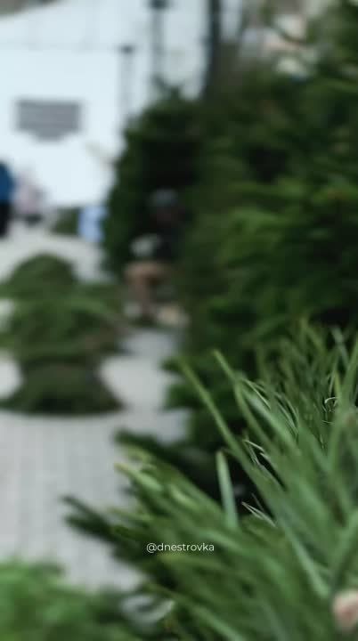 ��� �� ����� �� ������� ������?