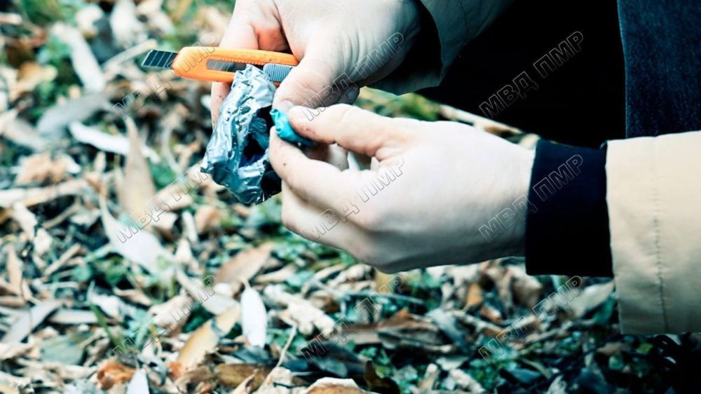 ����� ���������� ��� �������