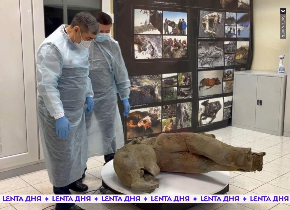 � ������ ����� ������� ���������� ���������