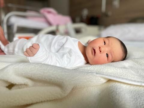 �������� Gameto �������� � �������� � ���� ������� �������, �������� � ������� ���������� Fertilo, ����������� ��������� ���������� ��� ���� �������