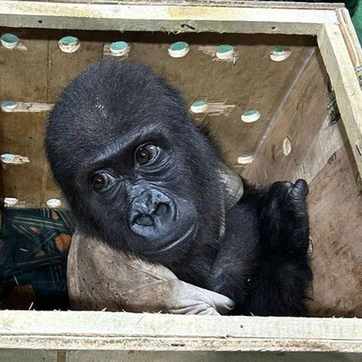 ����� � ��������� �������� ������ �����������