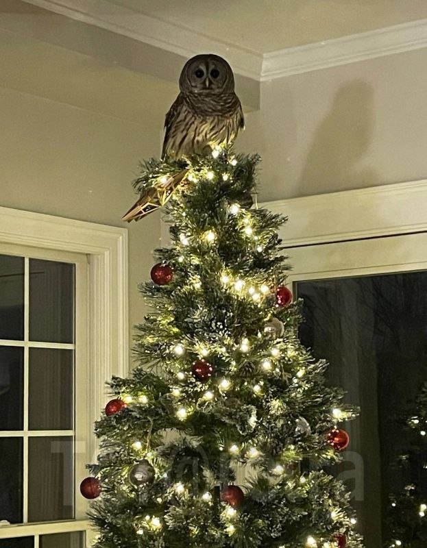 � ��������� ������� ������������ ����, ������� �������� � ���-�� ��� ����� ������� � ���� ����� �� �������� ����������� ����, ���� ������� ����������