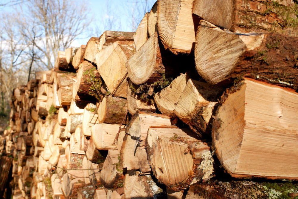 � ������������� ������ ������������� �����