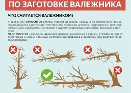 ������� ����� ���������