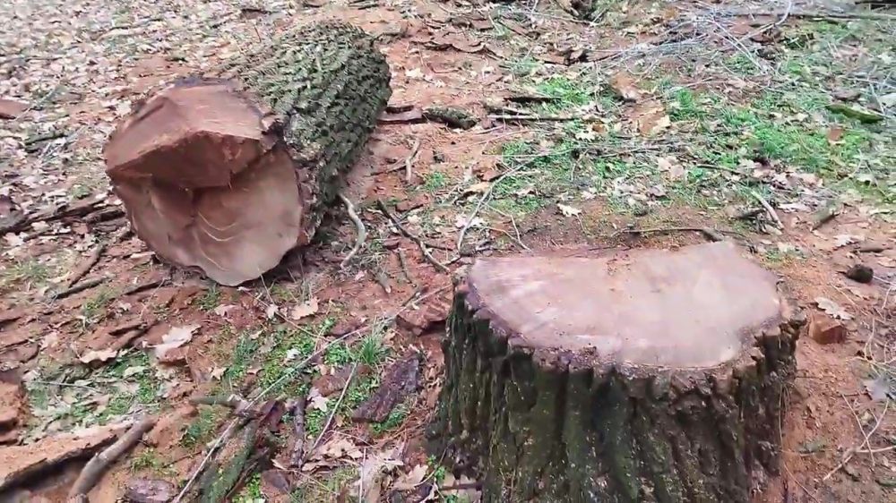 ������������ ���������� �� ���, ������� ������� � ����� �������