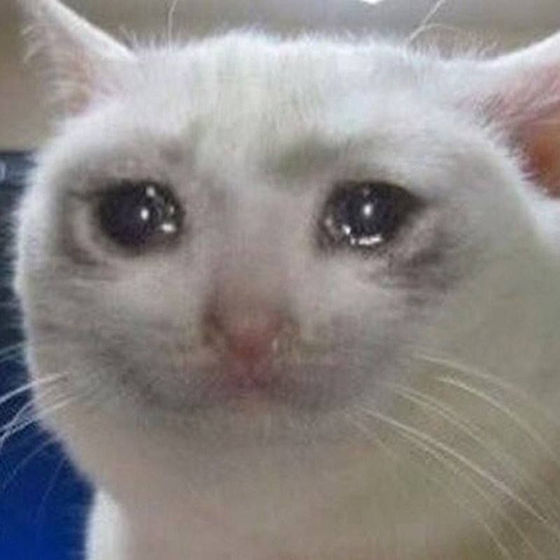 ������� �������� ���� ������! �� ������ ���������� ���, ��� ��-���������� ����������� �������� � ���� ��������� ����