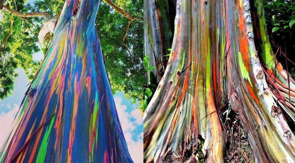 ���� �� ����� ��������� �������� � ���� � �������� ��������