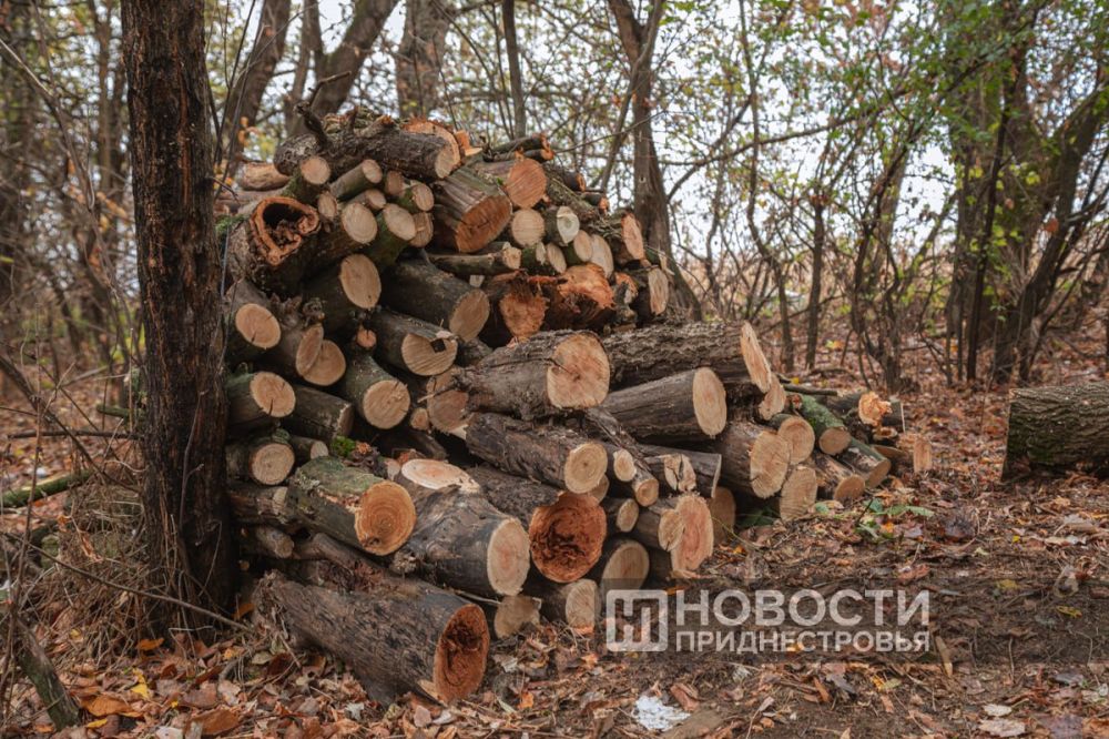 ������ ���������� ���� ���������� � �������� ������� ����������