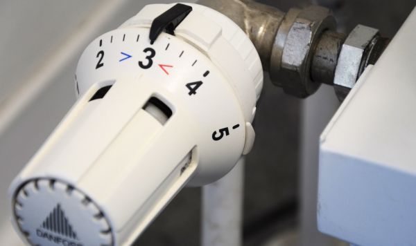 "�������� ���� �� ������ ��������": � �������� ������� ���� ������� �� ���������