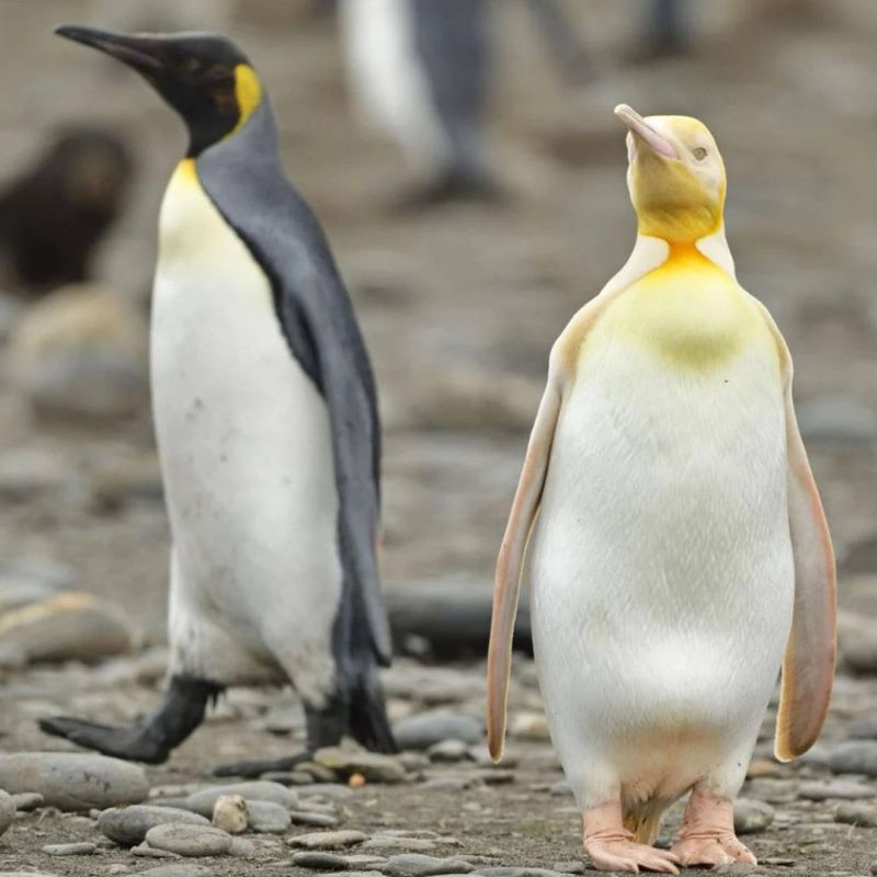 �������� �� ����� �� ��������� ��� ���� ������� ��� ���������� ����� ��������� ��������� � ������� � ��������� �������!