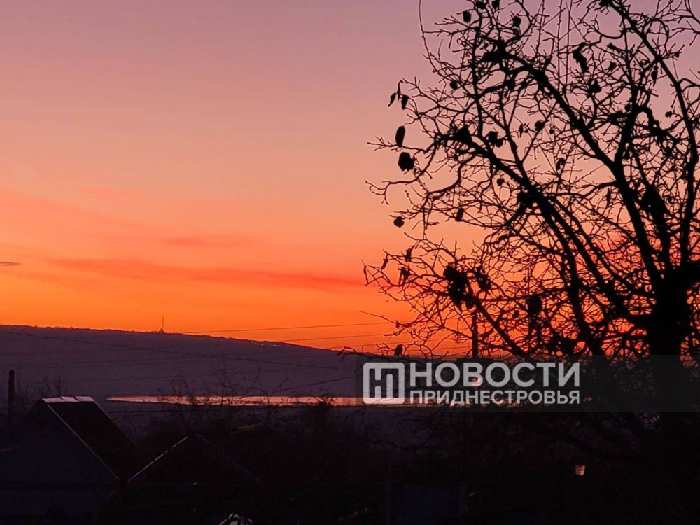 ��������� ���� ������ � �������� 2024 ����