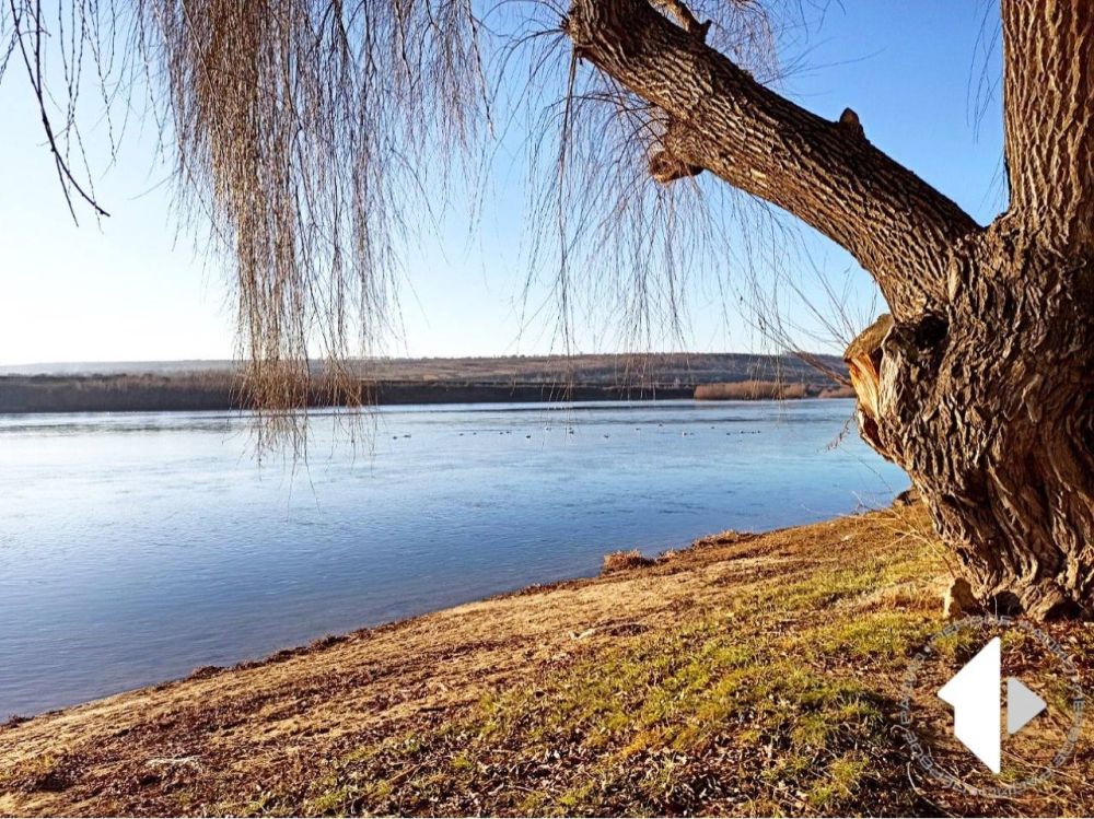 ������������ ������ �� �������