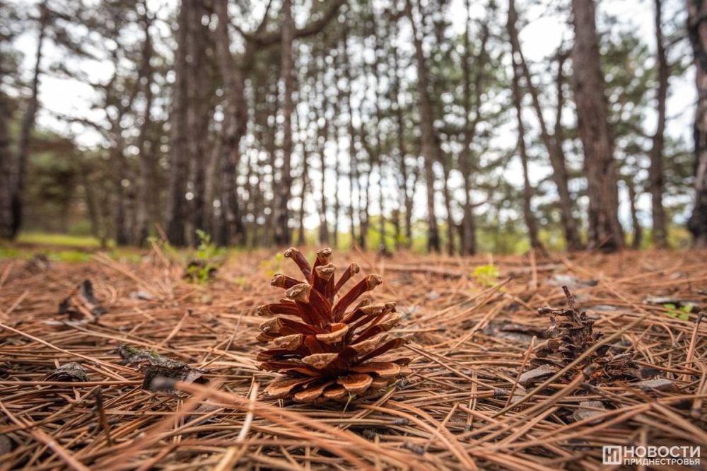 ����� �� ����� � �������� ������