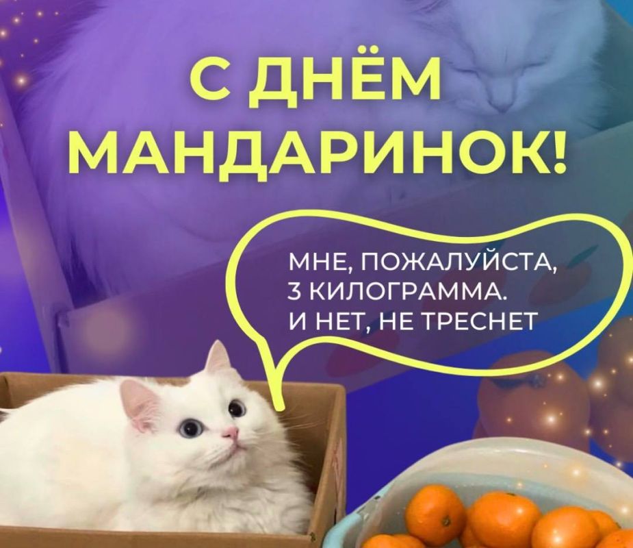 ������� ���������� ���� ����������