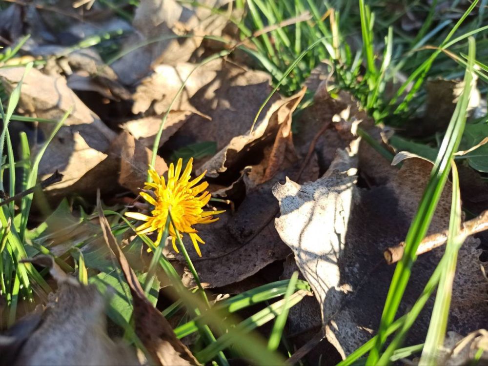 ����������� ���������� ������������ ����������