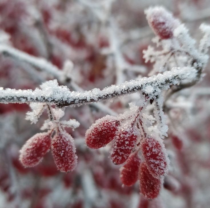 �� -10�� ��������� ������� �����