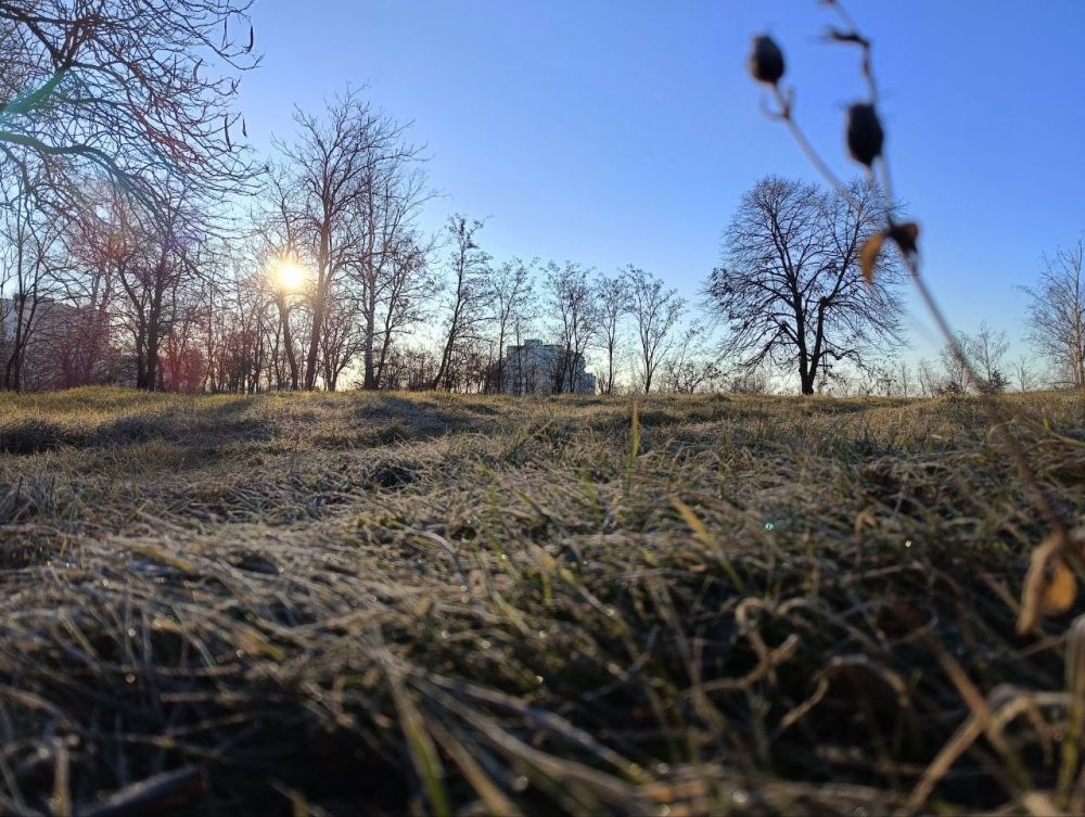 ������� "����� ������� ������"