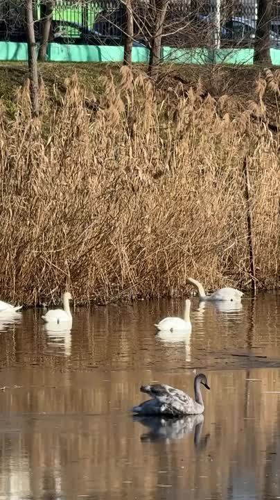 ������� ������ �� ����� � �������������� ����� ������� �� ����, ����� � �� ����� ��������� �� ����