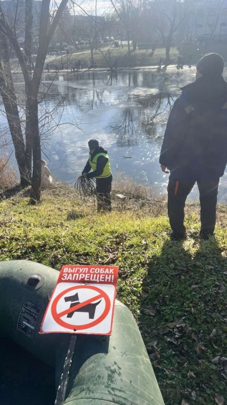 ������ ��������� ������ ����� ���������