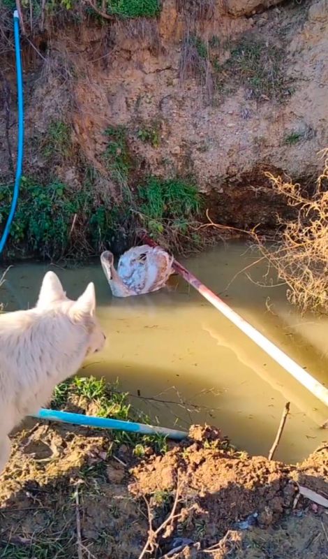 ������-������� ��������