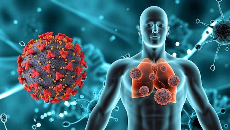 ������� ���������������� ������������� � �����, �������� ������ �����������