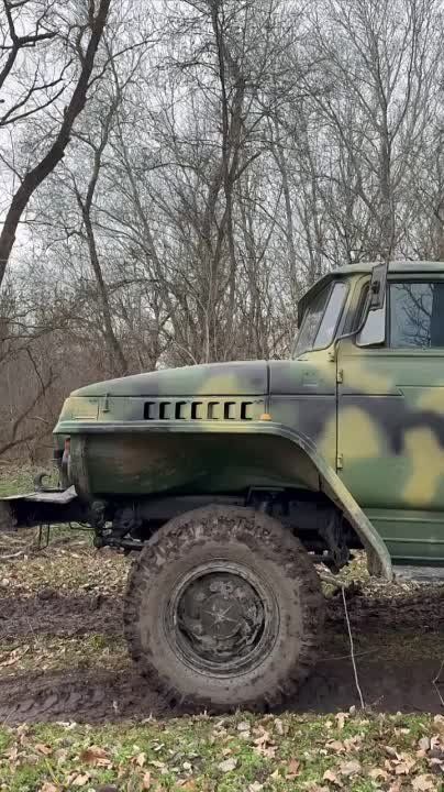 ���������� ���������� ��������� ������ ��������� ���������� � �������� �������������