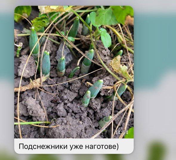 ����������� � ����������� ������� �� �������������: ������� ���������� ������� �������������