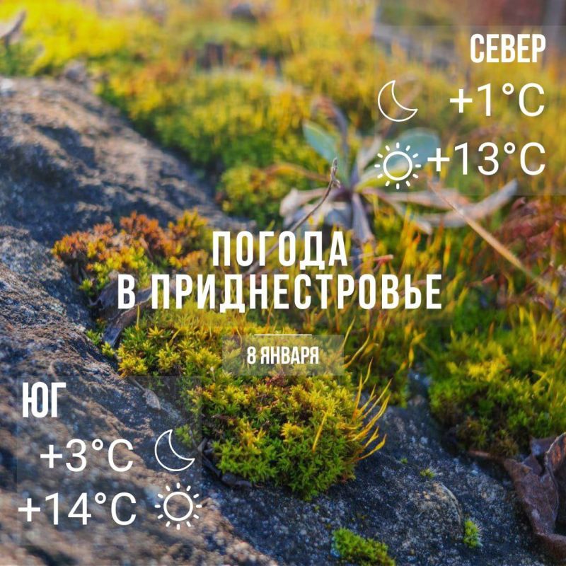 ���� � �� +14�C. ��� �������