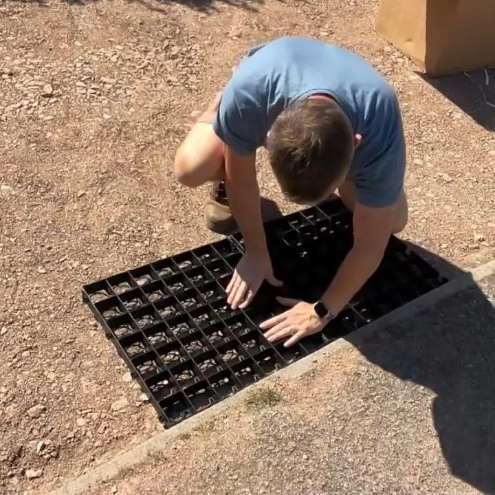 �� ������� ��������� � ��� ��������� ������� ������� �������� � ���������� � ����� ��������-������ "���� ������ ������"