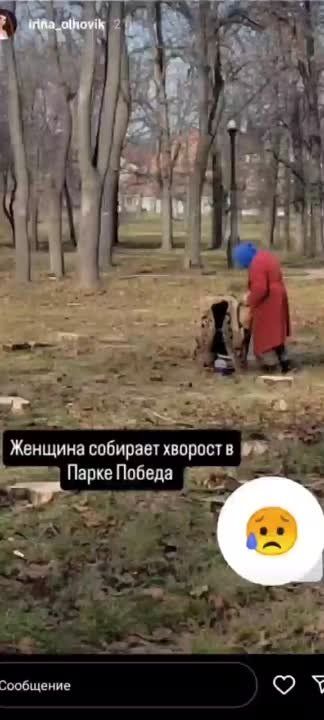 ���� ������� � ���������. ����������� ����